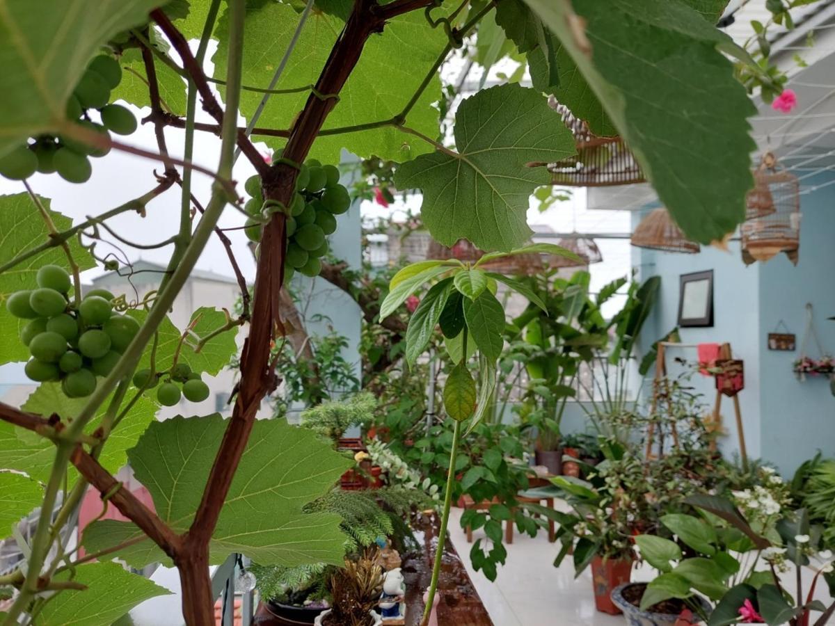 Alley Homestay Hanoi Buitenkant foto